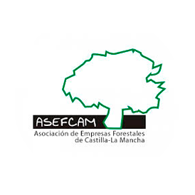 Logo ASEFCAM