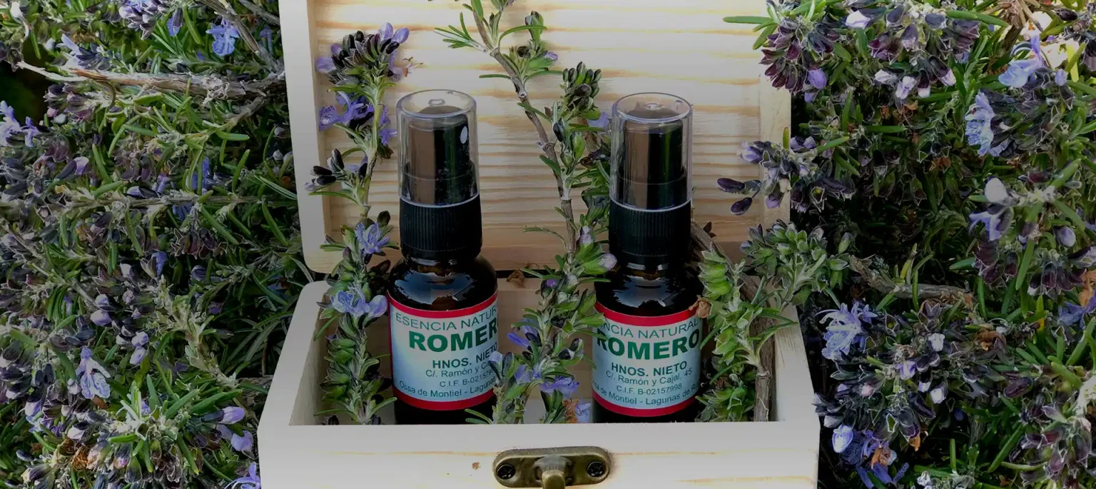 Aceites esenciales de romero Los Piconeros